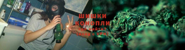гидра Алексеевка