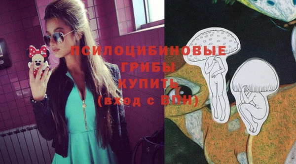 гидра Алексеевка
