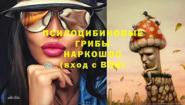 гидра Алексеевка