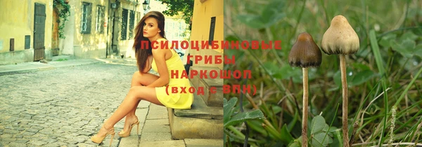 СК Алзамай