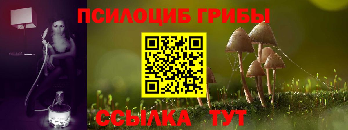 Псилоцибиновые грибы Psilocybe Апрелевка